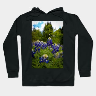 Texas Bluebonnets Hoodie